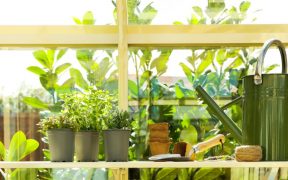 Gardening April