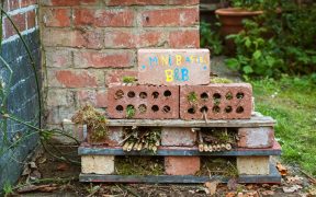 RSPB